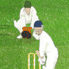 play The Ashes Cricket 2009 game